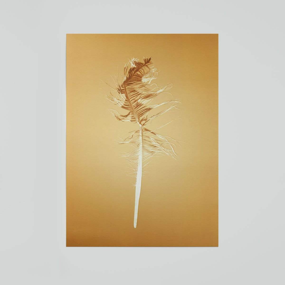 Sybrand Prints Woonaccessoires Nature Trash Feather poster