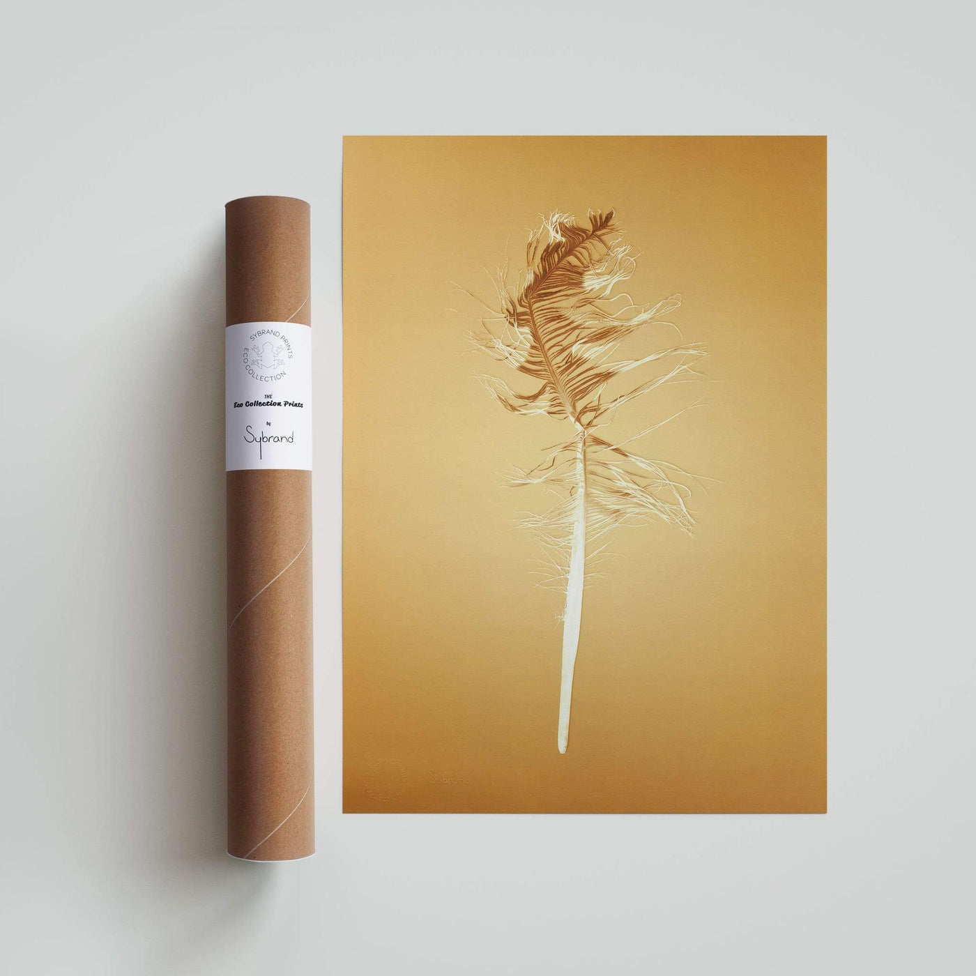 Sybrand Prints Woonaccessoires Nature Trash Feather poster