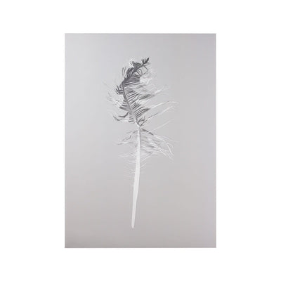 Sybrand Prints Woonaccessoires Nature Trash Feather poster Grey feather-grey