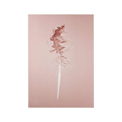 Sybrand Prints Woonaccessoires Nature Trash Feather poster Pink feather-pink